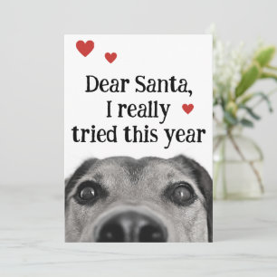 Dear Santa I Really Tried This Year Holiday Card