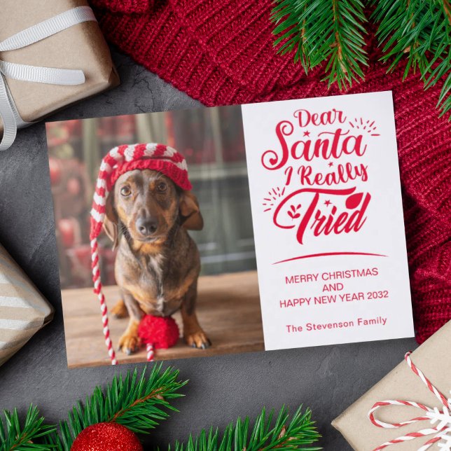 Dear Santa I tried dog fun Christmas Holiday pet Letterpress Photo Cards (Creator Uploaded)