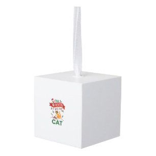 Dear Santa It Was Cat Orange Christmas Ornament