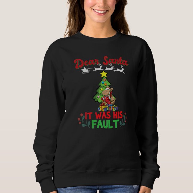 Dear Santa It Was His Fault Siblings Matching Xmas Sweatshirt (Front)