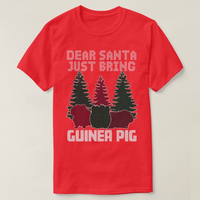 Dear Santa Just Bring Guinea Pig T-Shirt (Design Front)