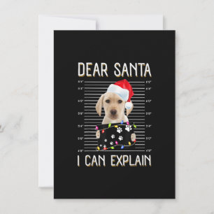 Dear Santa Labrador I Can Explain Christmas Dog Invitation