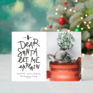 Dear Santa Let Me Explain Typography Pet Christmas Letterpress Photo Cards