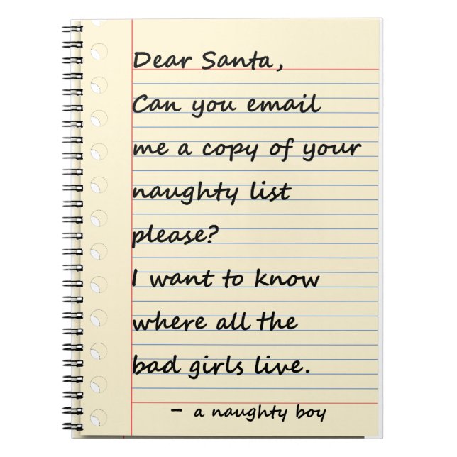 DEAR SANTA LETTER from a naughty boy Notebook (Front)