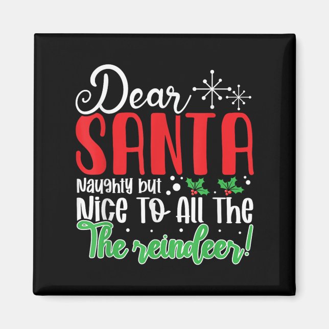 Dear Santa Naughty But Nice To All The Reindeer! F Magnet (Front)