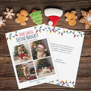Dear Santa Naughty Funny Dog Christmas Photo Holiday Card