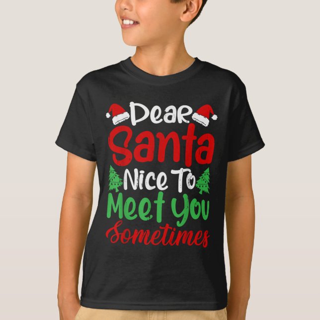 Dear Santa Nice To Meet With You Sometimes! Funny  T-Shirt (Front)