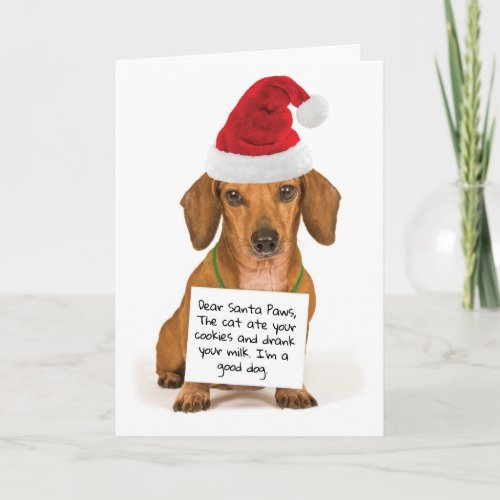 Dear Santa Paws Cute Dachshund Christmas Holiday Card