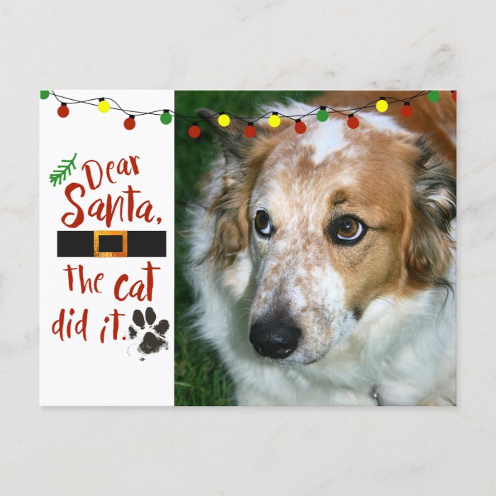 Dear Santa, the cat did it - Dog Lover Holiday Postcard