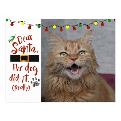 Dear Santa, the dog did it - Cat-Lover Postcard