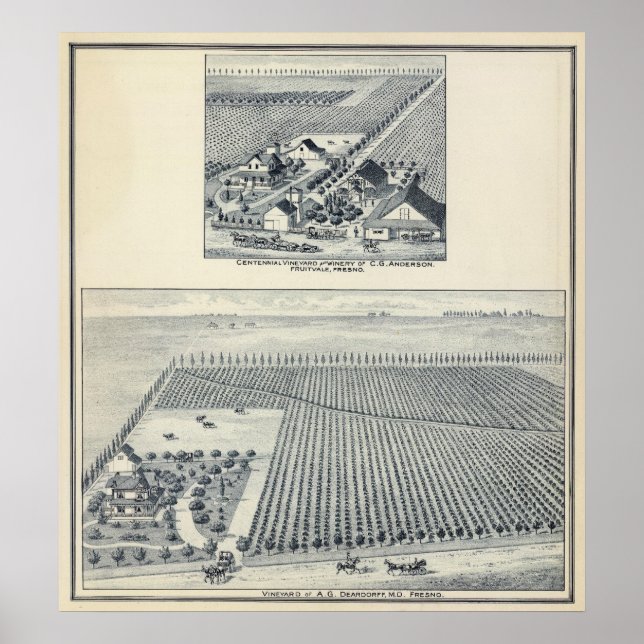 Deardorff and Centennial Vineyards, California Poster (Front)