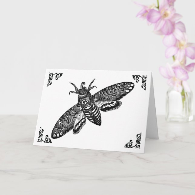 Death Head Moth Vintage Illustration Greeting Card (Orchid)