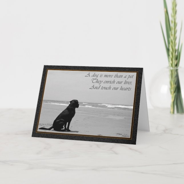 Death of a pet, dog death, sad, dog looking out card (Front)