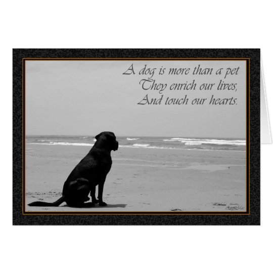 Death of a pet, dog death, sad, dog looking out card ...