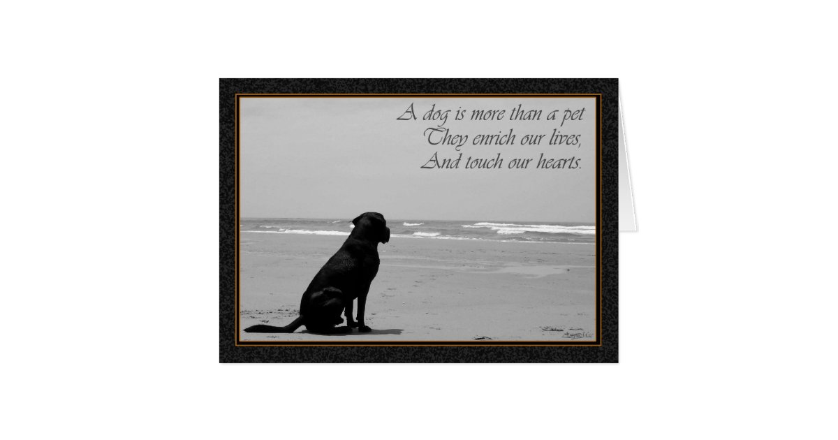 Death of a pet, dog death, sad, dog looking out card