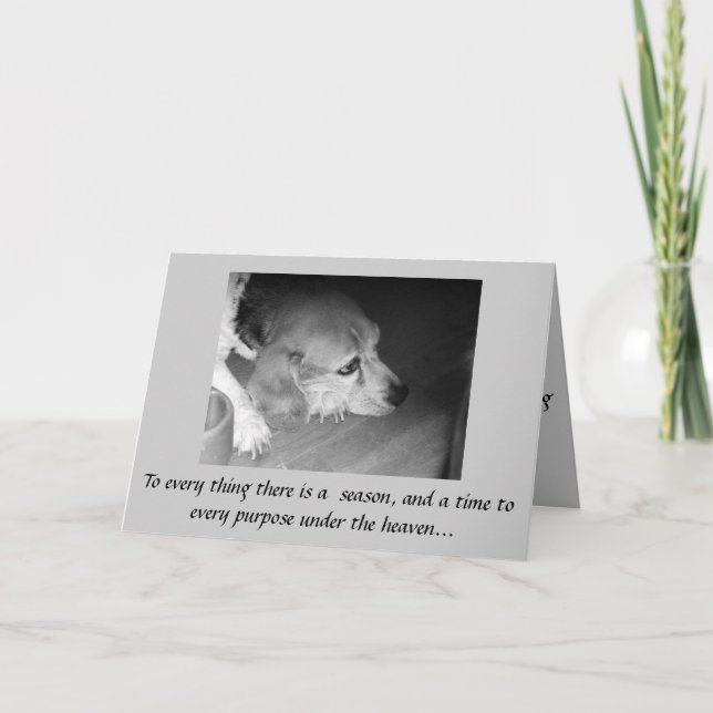Death of Pet Sympathy Card (Front)