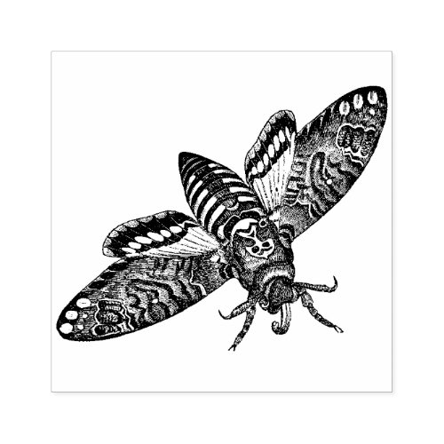 Deathâs Head Hawk Moth  rubber stamp