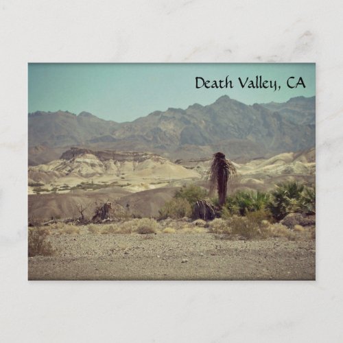 Death Valley CA Postcard
