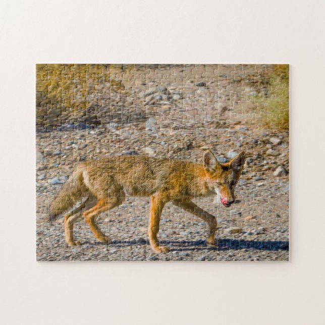 Death Valley Desert Fox. Jigsaw Puzzle (Horizontal)
