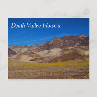 Death Valley Flowers Postcard