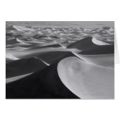 Death Valley Landscape (Front Horizontal)