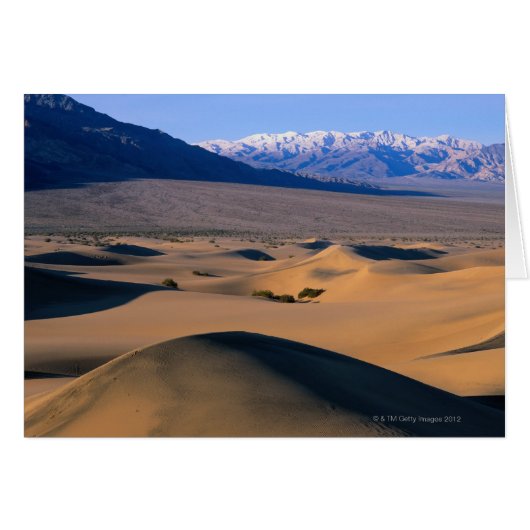 Death Valley Landscape 2 Cards (Front Horizontal)