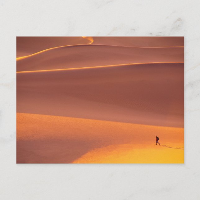 Death Valley National Park | California Postcard (Front)