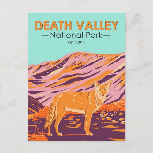  Death Valley National Park Coyote Vintage Postcard