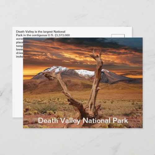 Death Valley National Park Facts Postcard