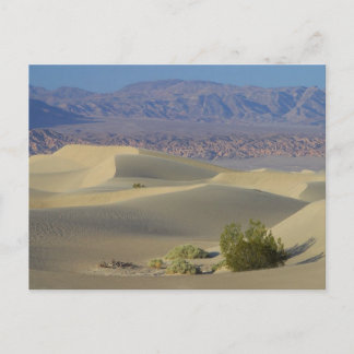 Death Valley Postcard