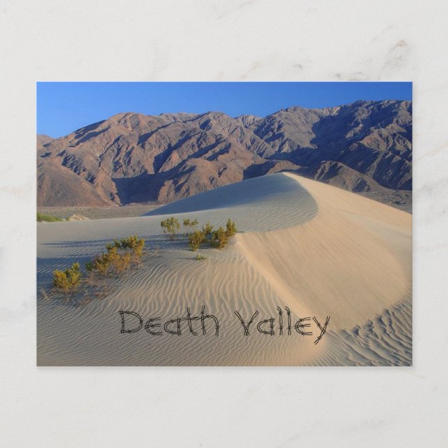 Death Valley Sand Dunes Postcard (Front)