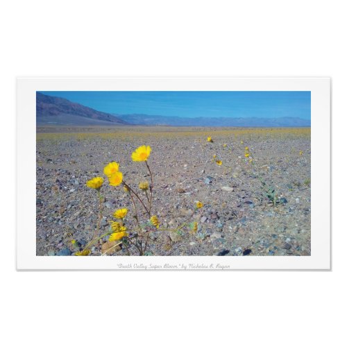 Death Valley Super Bloom Nature Photo Print