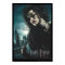 Deathly Hallows - Bellatrix Lestrange 2