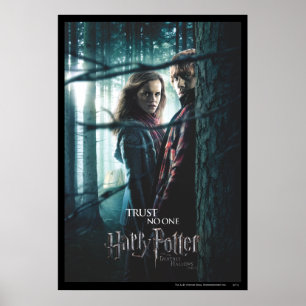 Deathly Hallows - Hermione and Ron Poster