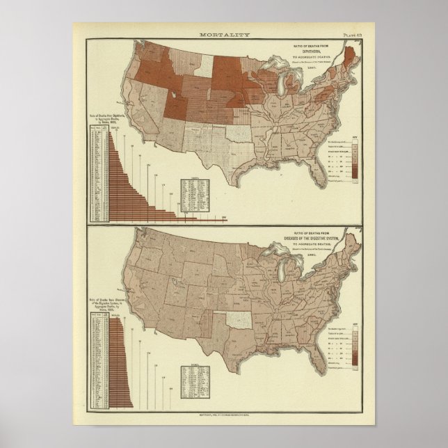 Deaths, diphtheria, digestive system poster (Front)