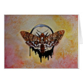 Death's Head Hawk Moth (Front Horizontal)