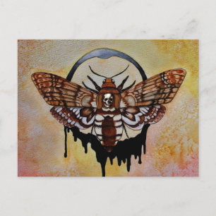 Death's Head Hawk Moth Postcard