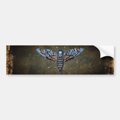 Deaths Head Moth aka Sphinx atropo moth Bumper Sticker