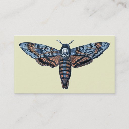 Customizable Death's Head Moth, aka Sphinx atropo moth Business Card Template