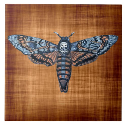 Deaths Head Moth aka Sphinx atropo moth Tile