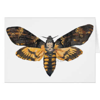 Death's Head Moth Cards