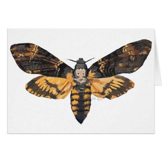 Death's Head Moth Cards (Front Horizontal)