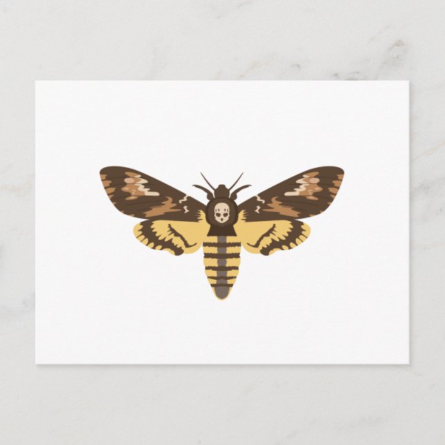 Deaths Head Moth Postcard (Front)