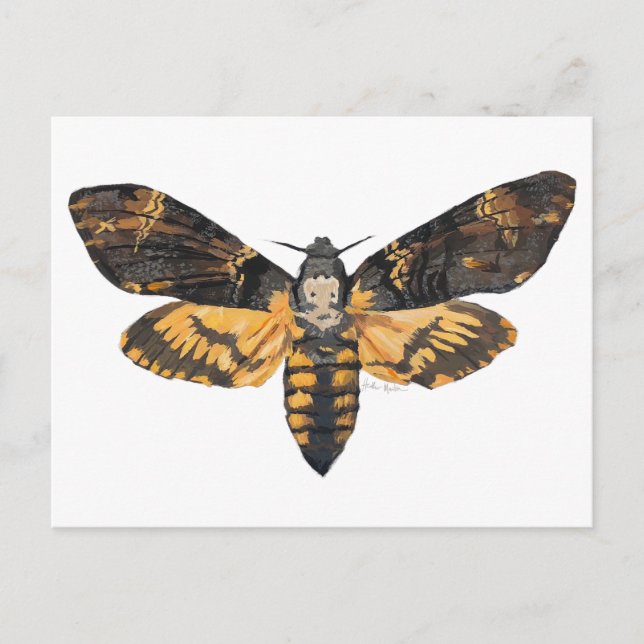 Death's Head Moth Postcard (Front)