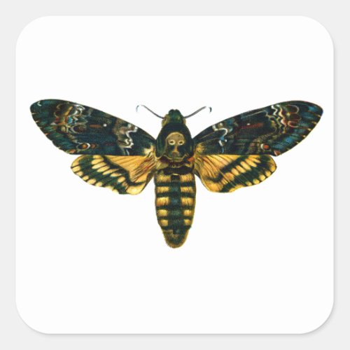 Deaths Head Moth Square Sticker