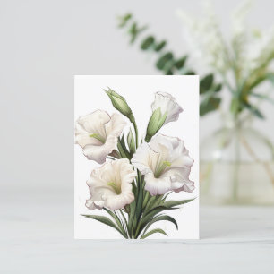 DEBORAH STEWART MINISTRIES-WHITE LILY POSTCARD