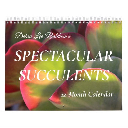 Debra Lee Baldwins Spectacular Succulents 12_mo Calendar
