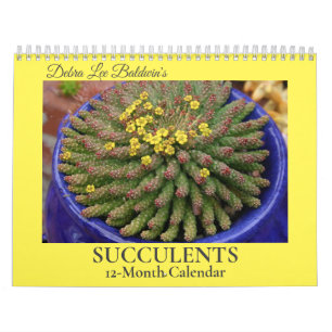 Debra Lee Baldwin's Succulents-2 12-Month Calendar