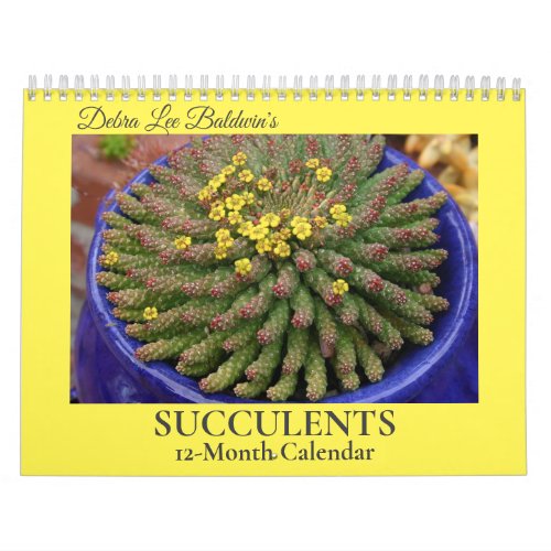 Debra Lee Baldwins Succulents_2 12_Month Calendar