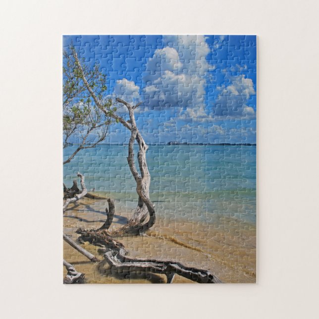 Debris to Blind Pass Jigsaw Puzzle (Vertical)